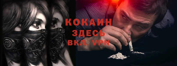 шишки Балахна