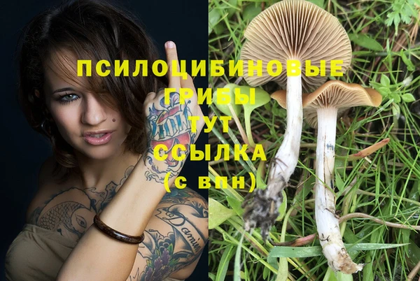 марки nbome Баксан