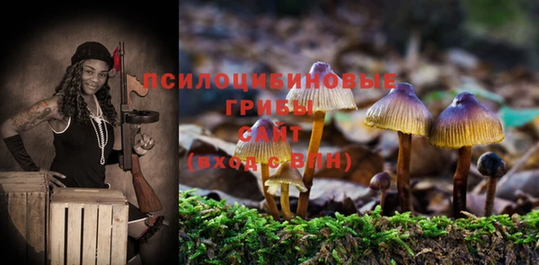 шишки Балахна