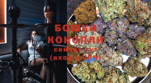 шишки Балахна